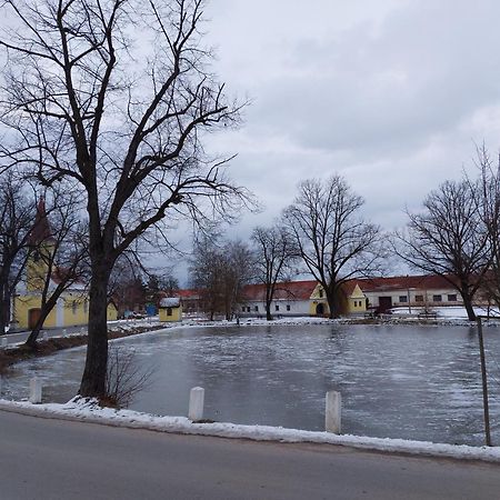 Ubytování U Dvořáků Veselí nad Lužnicí Exterior foto